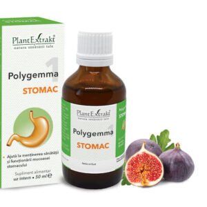 Polygemma Nr. 1 Stomac * 50 ml